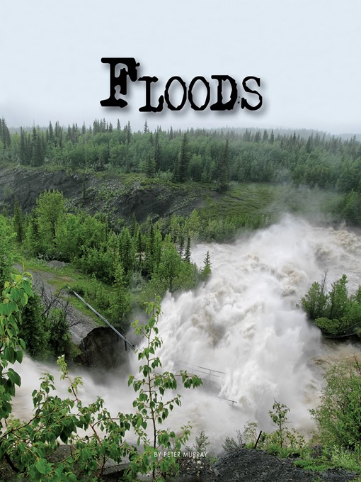 Title details for Floods by Peter Murray - Available